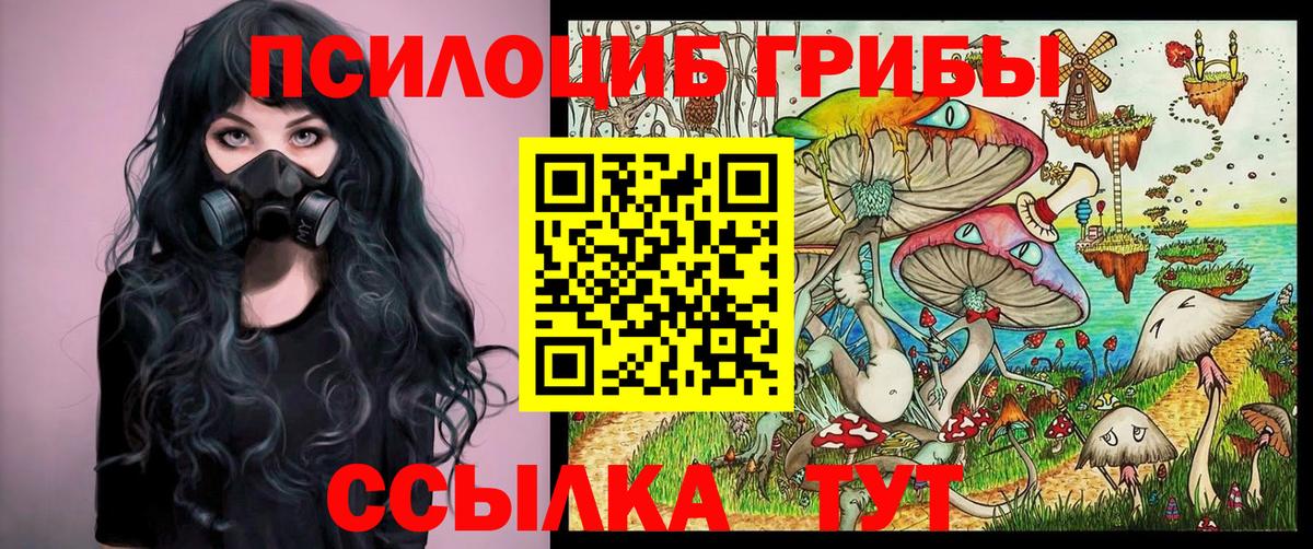Галлюциногенные грибы Psilocybine cubensis Сертолово