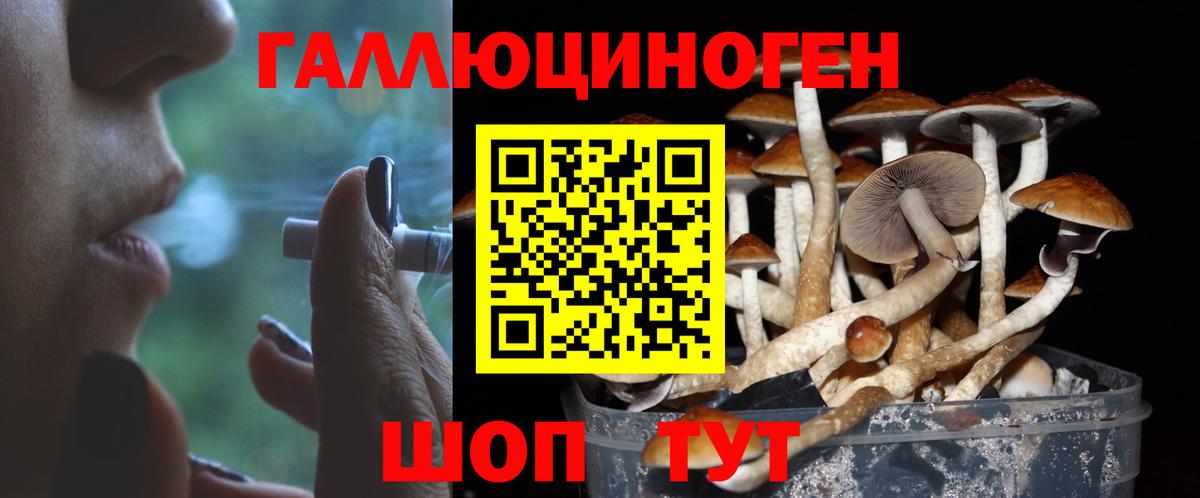 Галлюциногенные грибы Magic Shrooms  Галлюциногенные грибы Cubensis  Сертолово  Вход с VPN 